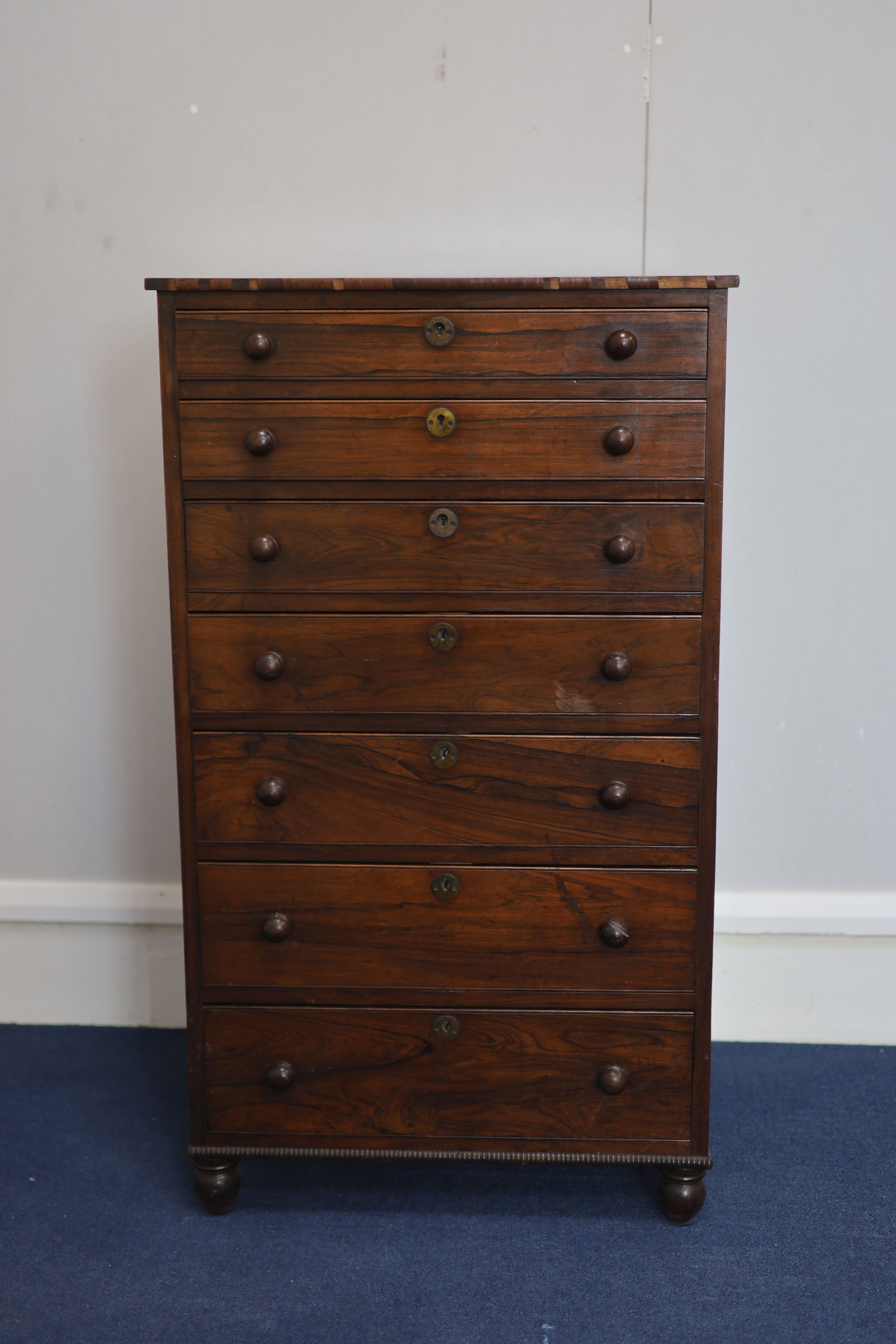 An early Victorian rosewood collectors chest W. 50cm. D. 39cm. H. 87cm.